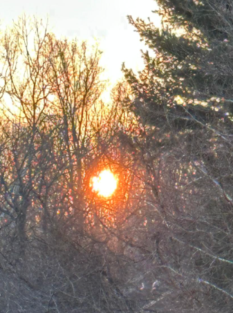 نیا سال آیا مبارک مبارک